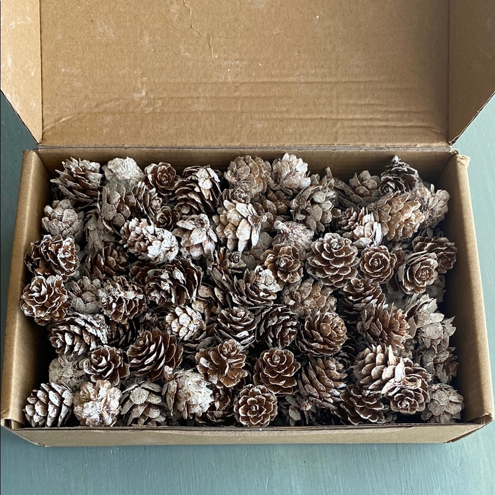NIB Bulk Mini Snowy Pinecones Holiday Decor - Picture 2 of 5